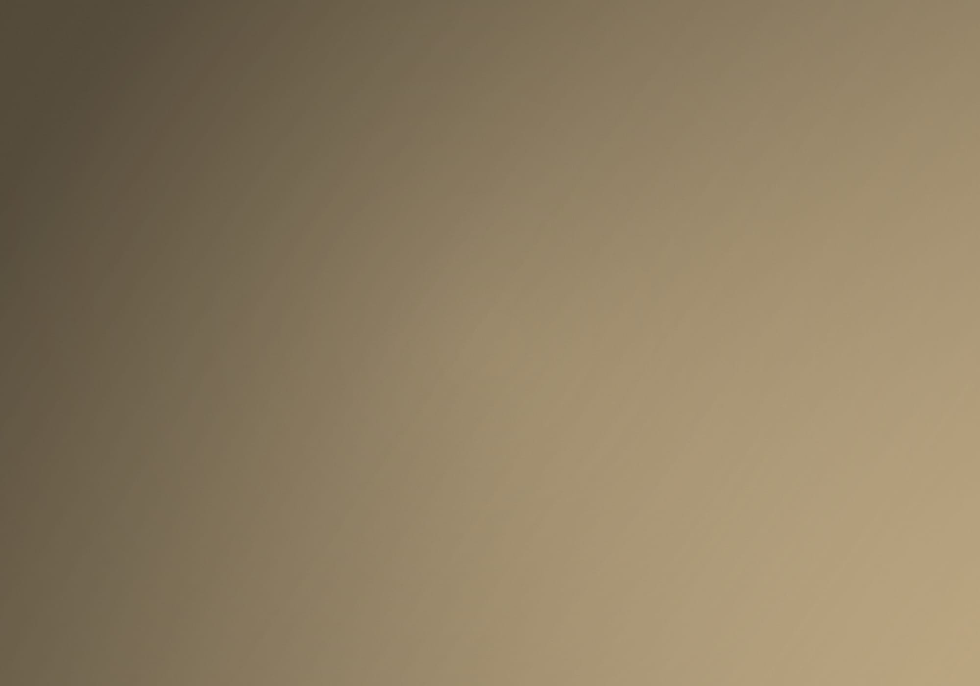 Crime Survivors Journal